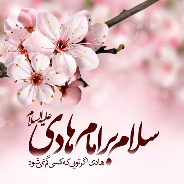 میلاد امام هادی