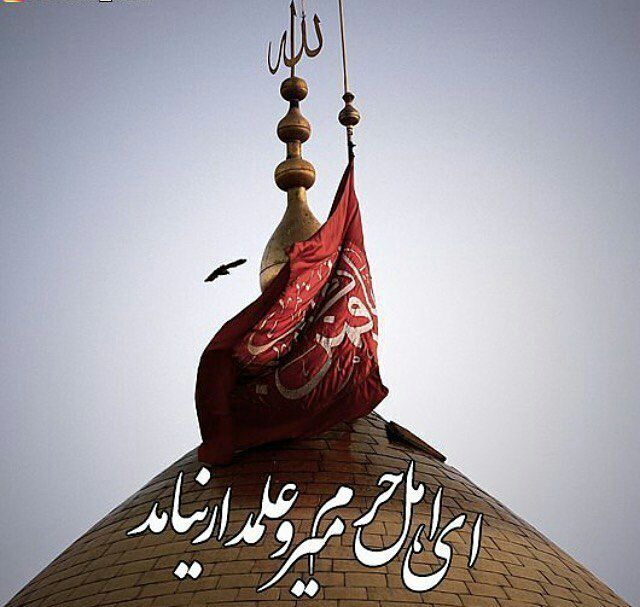 آیا فرزندان حضرت ابوالضل در کربلا بودند؟