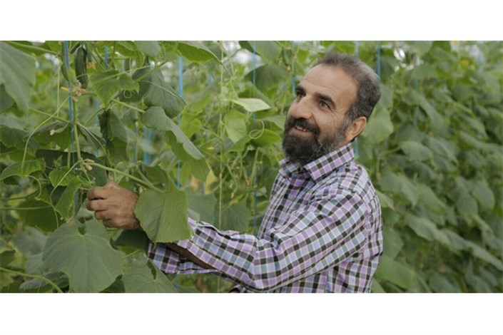 محسن صالحی حاجیآبادی