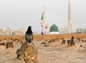 بقیع