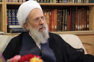 محمدی ری شهری