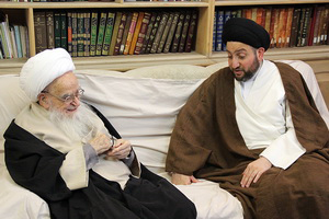 آیت الله صافی