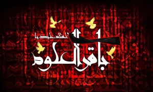 استوری شهادت امام باقر 