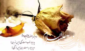 استوری شهادت امام باقر 