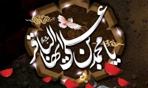 استوری شهادت امام باقر 