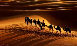 استوری شب دوازدهم محرم