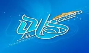 کلیپ استوری ولادت امام علی النقی(ع) (10)