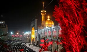 استوری شهادت امام رضا(ع)