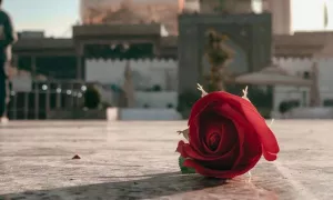 استوری میلاد امام حسن عسکری