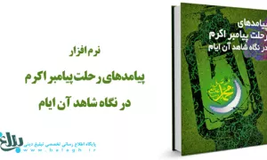 پیامدهای رحلت پیامبر اکرم(ص)در نگاه شاهد آن ایام